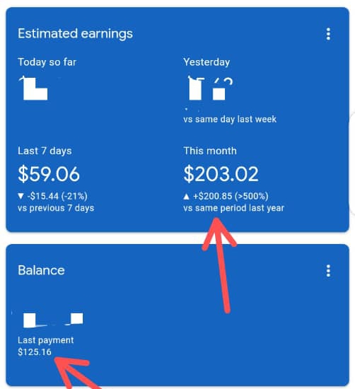 Estimated earnings from Ads.