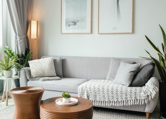 A photo of a clean sitting room with a slime free couch and clothesand